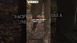 2024 Gaming Preview  Epic Adventures Await! VEED1