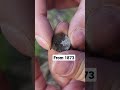 Amazing Silver coin found metal detecting in Finland