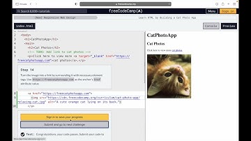 How to make a website - Responsive web design Basics for Beginners(freecodecamp tutorial step 13-16)