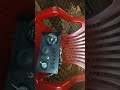 3t75 24 hp máy đã son moi