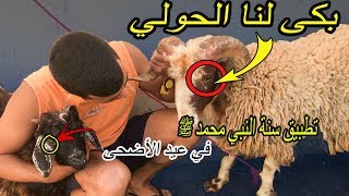 اول عربي يطبق سنة النبي محمد ﷺ في عيد الأضحى ❤💐