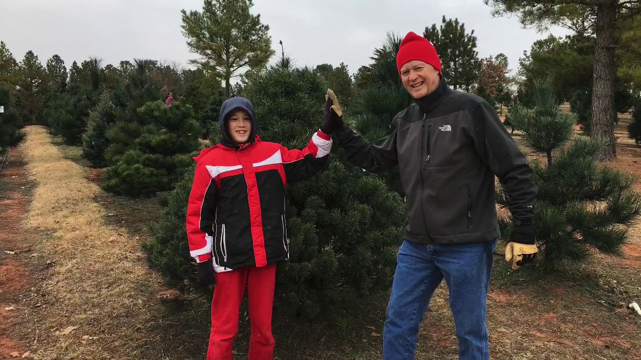 17 best images about bringing home the christmas tree on pinterest 2018 Christmas Tree Story - YouTube