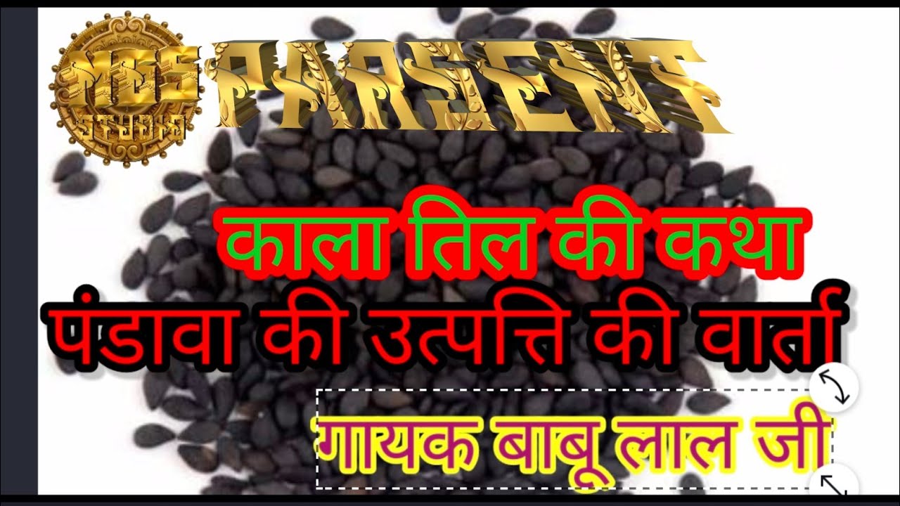 Pandav Ki Katha | Babu Lal Ji Suthar Bhajan | Desi Kath | Bhag 1 | Chepter 1