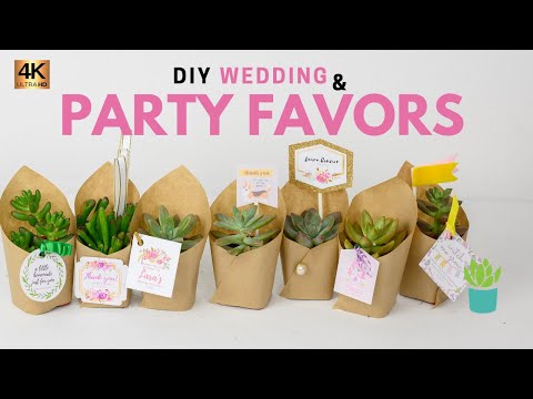 Video: How To Make A Gift Arrangement From Cacti