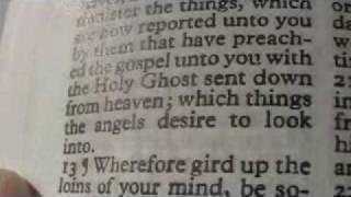1 Peter 1 Holy Bible (King James)