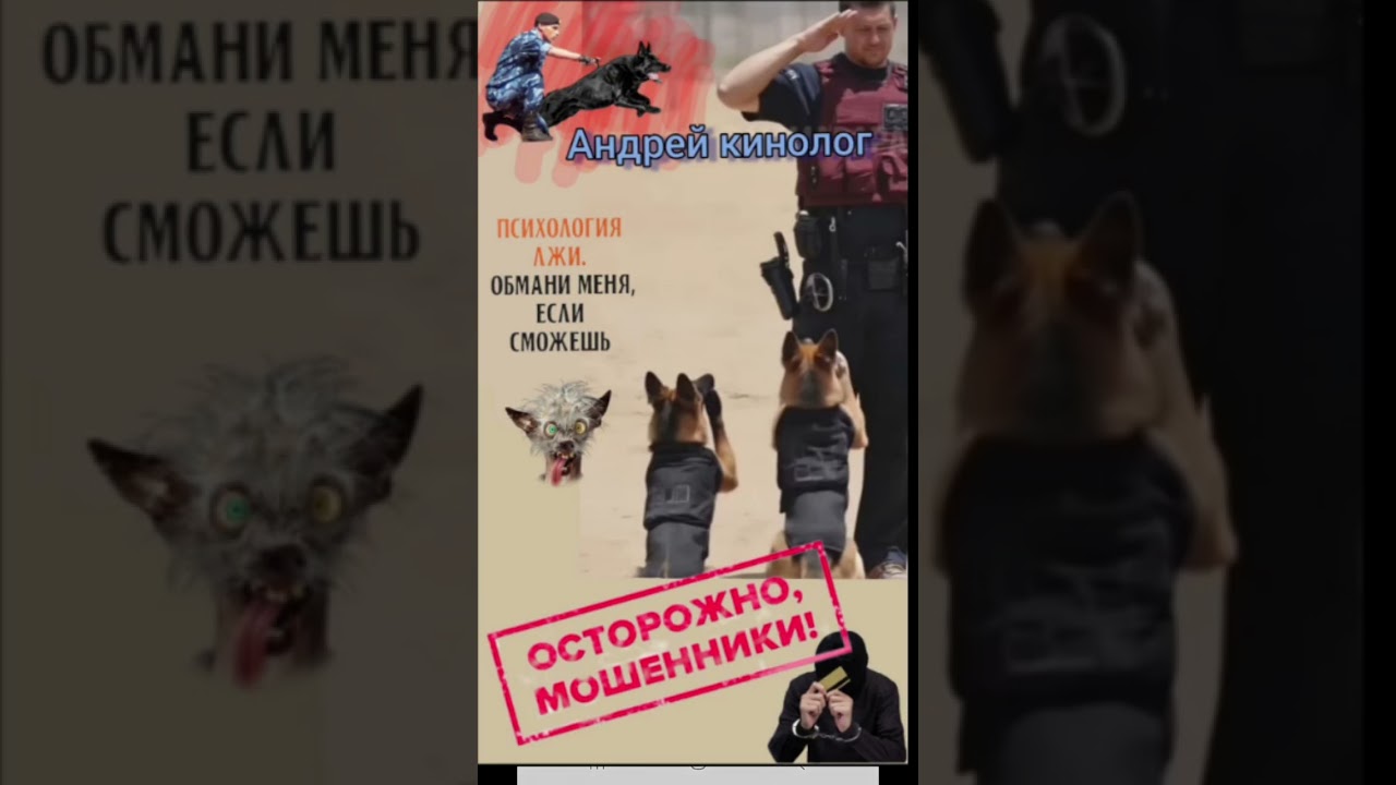 Плановый-внеплановый 