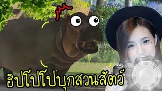 [EP.3] ฮิปโปโปบุกสวนสัตว์ | Zoo Tycoon 2017 [zbing z.]