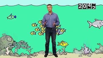 What Is Ocean Acidification? | A Cartoon Crash Course