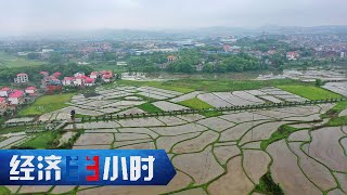 1155亿元建高标准农田！每亩增收近600元！“中原粮仓”华丽转身！「经济半小时」20230427 | 财经风云