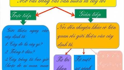 LUYỆN TẬP XÂY DỰNG MỞ BÀI TRONG BÀI VĂN MIÊU TẢ CÂY CỐI