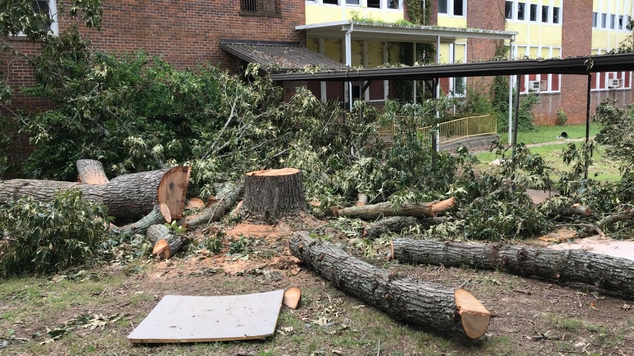 Old Oaks Removed and Refurb Continues at Old Gibsonville Elementary