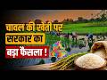 चावल की खेती को लेकर पंजाब से बड़ी खबर | Commodity Today
