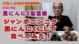 ジャンボニンニクを黒ニンニク製造器で発酵させて食べてみました！2021年版