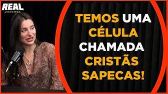 imagem do youtube