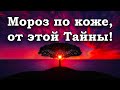 Прям мороз по коже! Эту тайну не разгадал никто до сих пор!