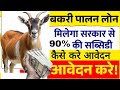 बकरी पालन लोन| govt bakari palan loan |Goat Farming Loan 2025#osmsarkariyojana 