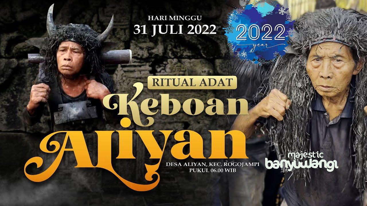 Tradisi Keboan Aliyan ~ Banyak Yang Kerasukan Roh Leluhur, Adat Budaya Banyuwangi 2022