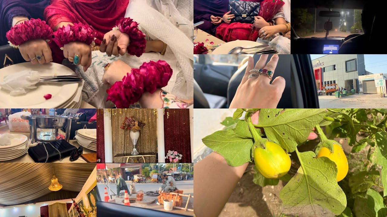 Maria K Baity Ki Hoi Ameen Ajeeb Science Hamary بینگن Yellow 🧐راشن تقسیم My favourite Rings 