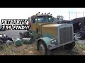 FINDING A 1978 PETERBILT 359 JUST SITTING!!!!  JUNKYARD PETERBILT BUILD!?!?!