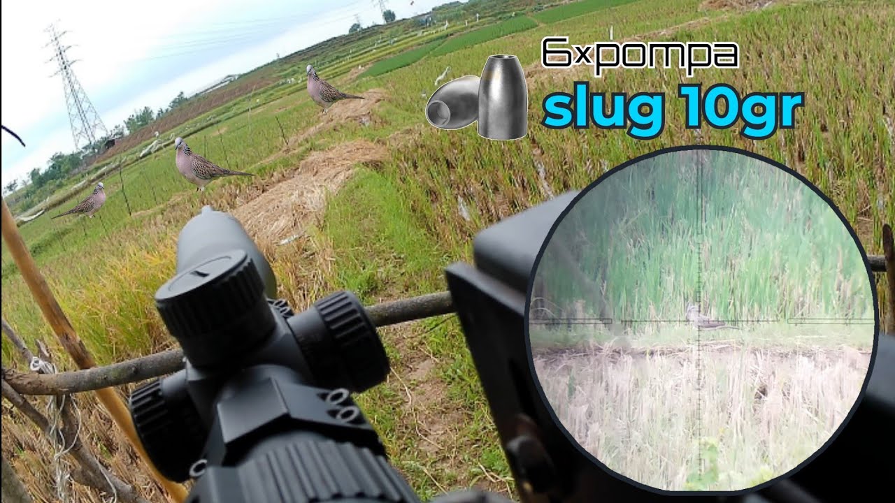 MASIH DI SPOT PESAWAHAN‼️ HUNTING & COOKING‼️