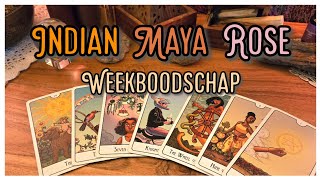 📆Week 12-18 Januari • Opbouwen Maar Houdt Het 🤐 Stil! En Een Bedriegelijk 🤬 Persoon • Tarot Reading
