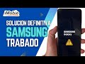 📱 Samsung o Xiaomi congelado ❄️ – Cómo arreglar la pantalla paralizada en minutos