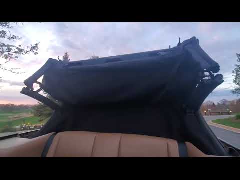 1998 Mustang -
