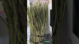 Wild asparagus delicious for salad#subscribe#europe#asia#asmre#enjoylife#luckyguard.