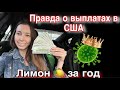 Как мы получили миллион от США за период карантина