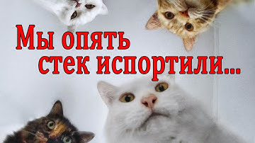 Покраска стека (области памяти) Keil uVision