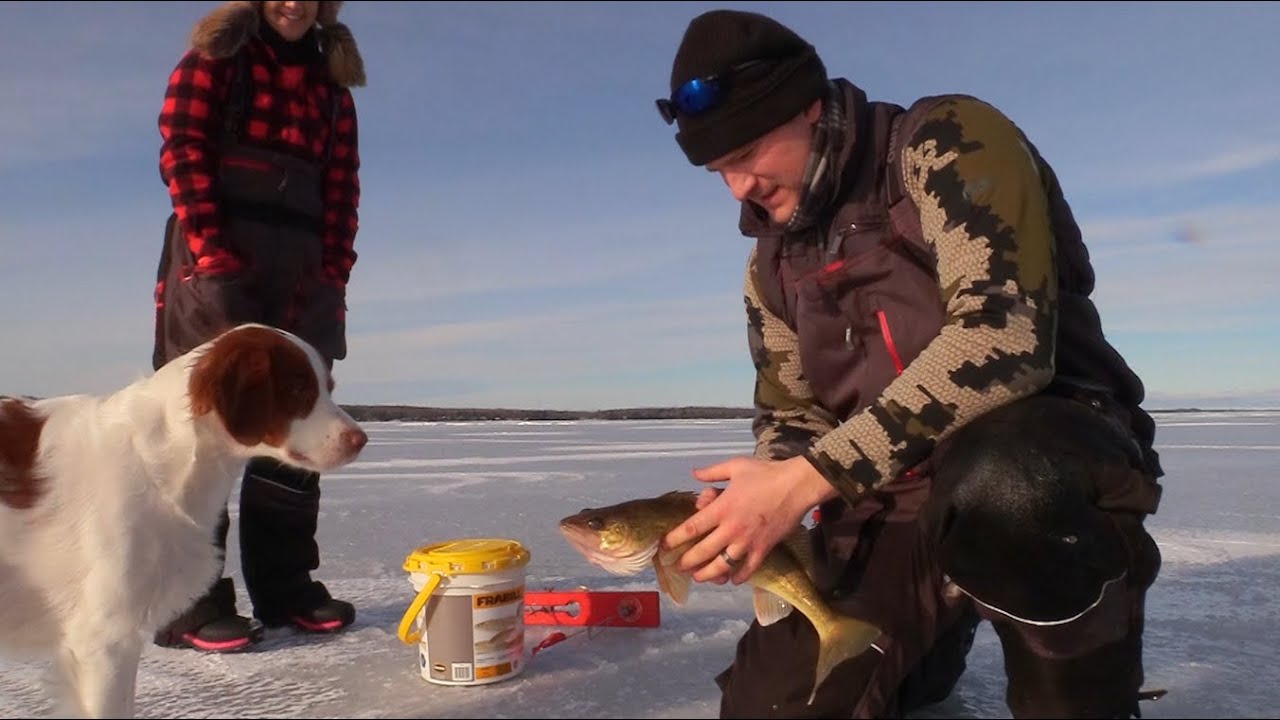 Mullet Lake Walleyes | Bonus Pike