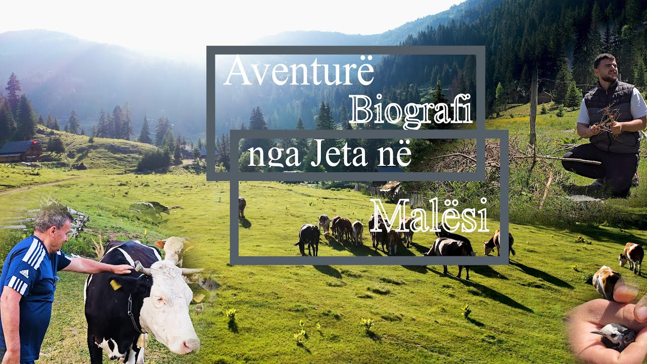 Aventurë dhe Biografi nga Jeta në Malësi