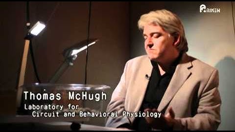 RIKEN:A passion for beautiful science