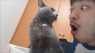 もう吸っちゃいましょう