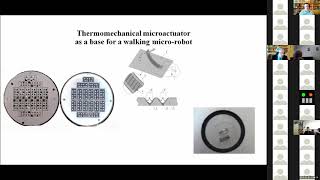 A Walking Robot With Thermomechanical Actuators for the Inspection of Photo-Electric Cells of Solar