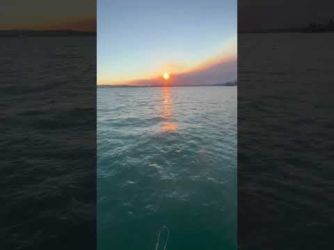 Nothing like that feeling ❤️ #sailing #racing #sunset