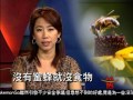 [沒有蜜蜂就沒食物] 洛城18台晚間新聞08112016
