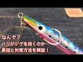 何故・・ハリがジグを抱くのか？