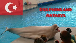 Dolphin Show - dolphinland antalya 2022 - Turkey || عروض الدلافين في ارض الدلافين انطاليا تركيا