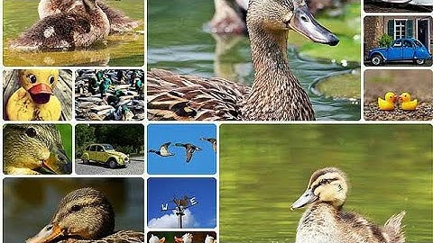 How To Make Split Screen Video in KineMaster | KineMaster Tutorial 2020