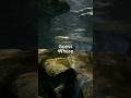 Guess Where [115] #guesswhere #relax #music #animate #reallife