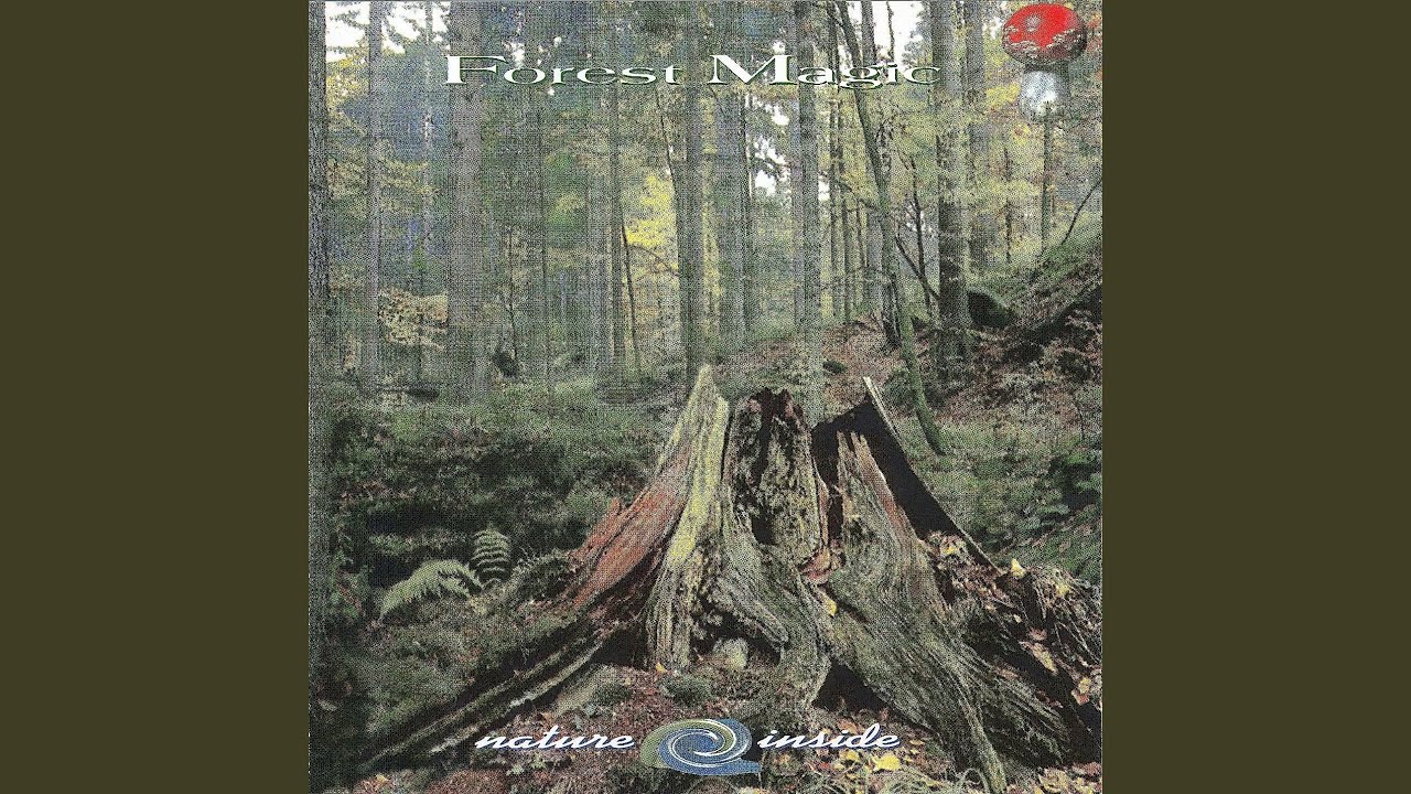 Watch Quiet Forest on YouTube Watch Quiet Forest on YouTube
