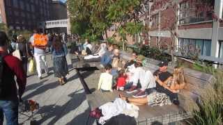The High Line, New York - A McTraveller one-minute guide
