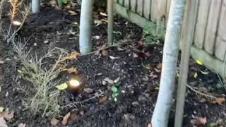 Celebrity Quinetic, Alexa LED wireless lighting, controlled via phone or switch inside or outside your home! Wealth