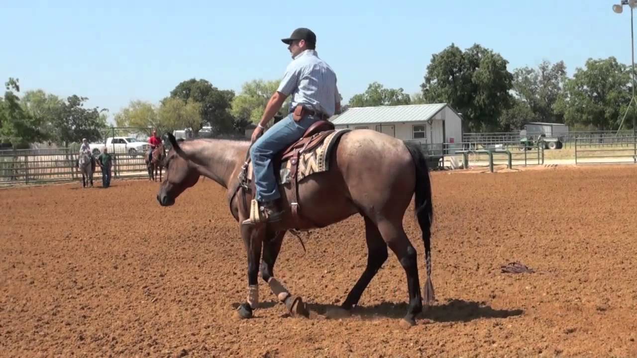 Travis talks about getting your horse lighter in the bridle.