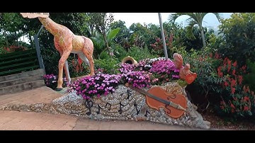 Khu Nghỉ Dưỡng View Triệu Mây Đà Lạt | Check-in Săn Mây, Nghỉ Dưỡng Giữa Thiên Nhiên