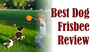 Best Dog Frisbee Review - Pet Training Flying Disc