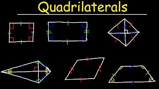 Quadrilaterals  Geometry