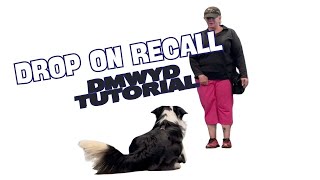 Drop on Recall - DMWYD: Trick Tutorial by Pam's Dog Academy 105 views 1 month ago 2 minutes, 52 seconds