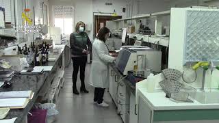 Intervenidas 225 000 Botellas De Ron Falsificadas